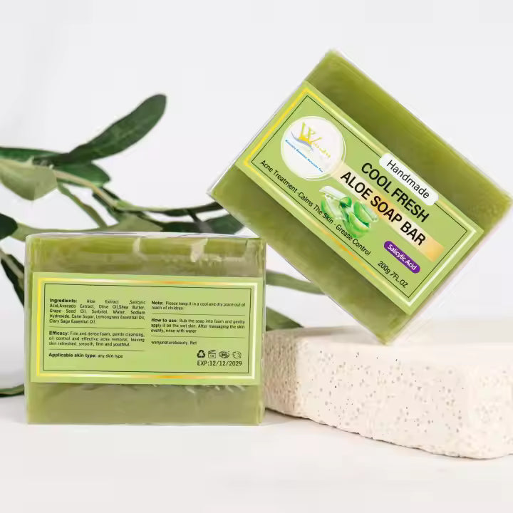 Wanju Nature Beauty Handmade Aloe Soap Bar – Salicylic Acid Acne Treatment & Grease Control, 200g